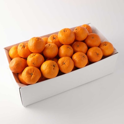 ぽんかん 訳あり5kg 谷川果樹園 柑橘 果物 【R01141】