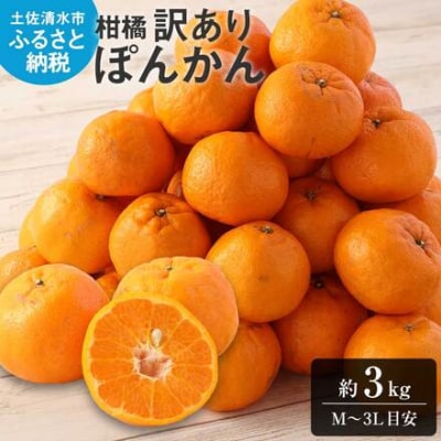 令和9年1月発送　ぽんかん 訳あり 3キロ 谷川果樹園 柑橘 果物 フルーツ【R01603】