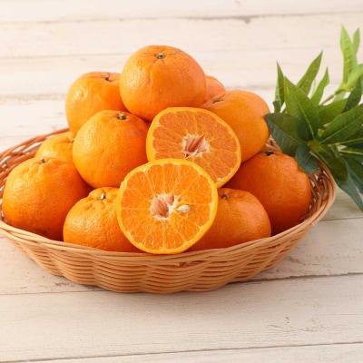 令和9年1月発送　ぽんかん 訳あり 3キロ 谷川果樹園 柑橘 果物 フルーツ【R01603】