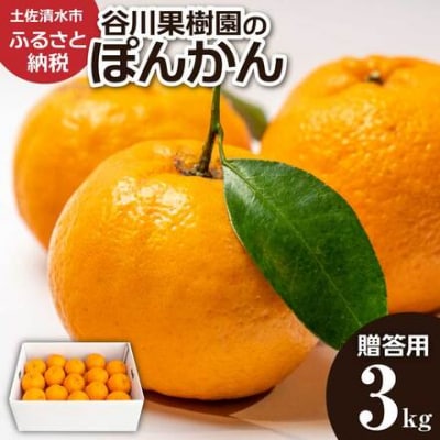 R9年1月発送　ぽんかん3kg 谷川果樹園 柑橘 果物 フルーツ オレンジ みかん【R01376】