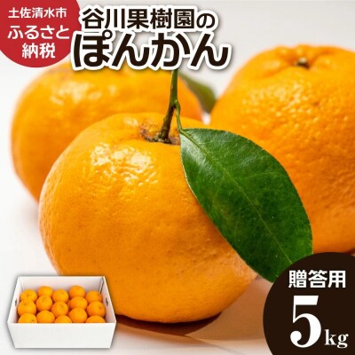 令和8年1月発送 デコポンの親 ぽんかん5kg 谷川果樹園 柑橘 果物 フルーツ【R01602】