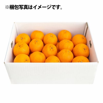 令和9年1月発送 デコポンの親 ぽんかん5kg 谷川果樹園 柑橘 果物 フルーツ【R01602】