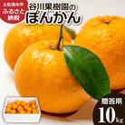 令和8年1月発送　デコポンの親 ぽんかん10kg 谷川果樹園 柑橘 果物【R01144】