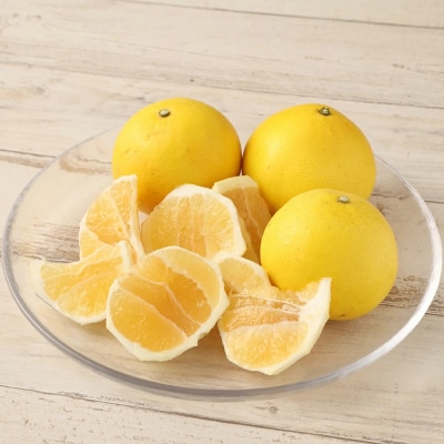 訳あり 小夏 5kg 日向夏 みかん 柑橘 オレンジ フルーツ【R00238】