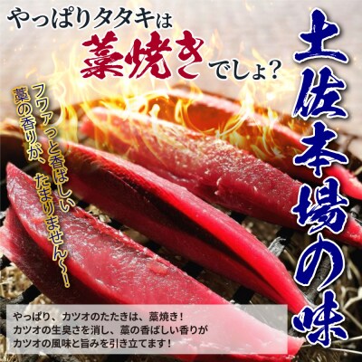 藁焼き鰹のたたき 冷凍2節 450g～500g(3～4人前) タレ・塩付【R01556】