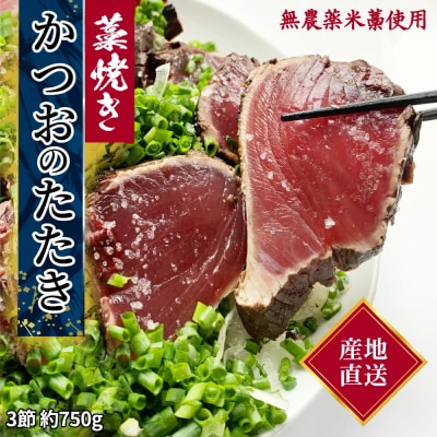 藁焼き かつおのたたき 冷凍 3節 500g(5～6人前) タレ・塩付 鰹 刺身【R01446】