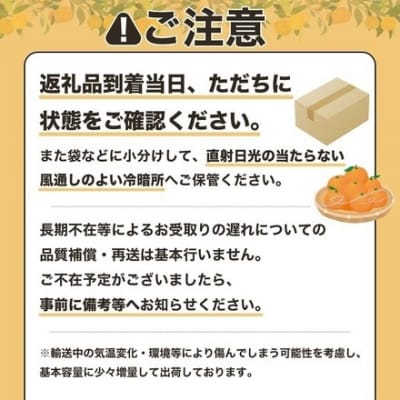 【令和8年発送】 早川農園の足摺小夏 3kg 日向夏 みかん 柑橘 【R00191】