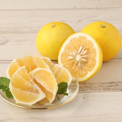 【令和8年発送】 早川農園の足摺小夏 3kg 日向夏 みかん 柑橘 【R00191】