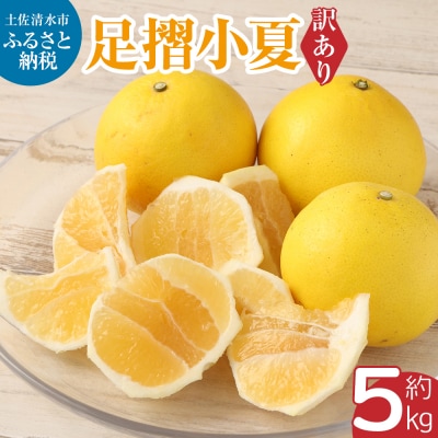 【令和9年発送　訳あり】早川農園の足摺小夏(5kg)みかん 柑橘 果物 フルーツ【R00158】