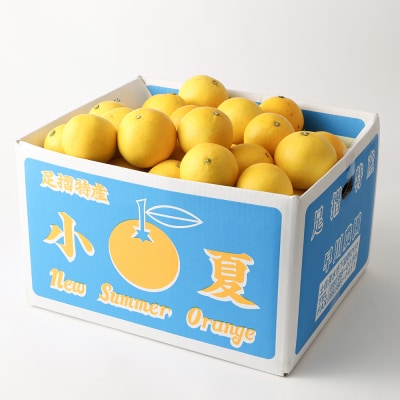 【令和8年発送　訳あり】早川農園の足摺小夏(5kg)みかん 柑橘 果物 フルーツ【R00158】