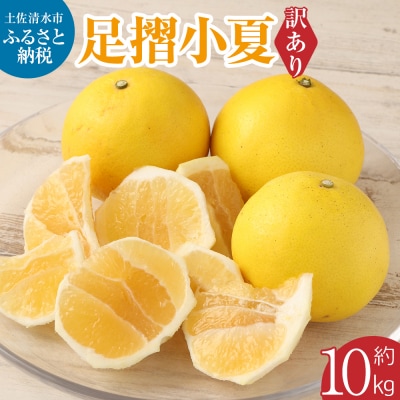 【令和8年発送　訳あり】  早川農園の足摺小夏 10kg みかん 柑橘 フルーツ【R00435】