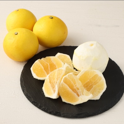 【令和8年発送　訳あり】  早川農園の足摺小夏 10kg みかん 柑橘 フルーツ【R00435】