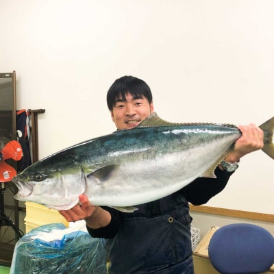 ブリの藁焼きたたき 2本(2～3人前)ぶり 鰤 シーフード タタキ 刺身 魚介【R01420】