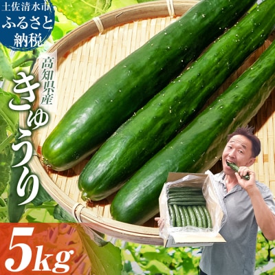 きゅうり 5キロ 野菜 新鮮 キュウリ サラダ 【R01452】