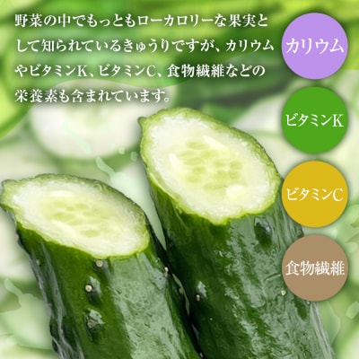きゅうり 2キロ 野菜 新鮮 キュウリ 【R01451】