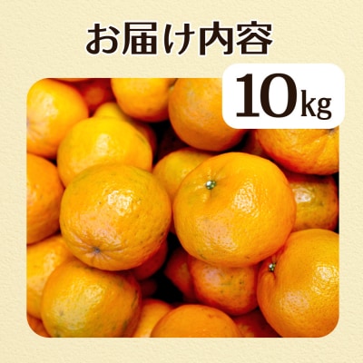 規格外だけど規格外じゃない!? 訳あり 足摺ぽんかん 10kg みかん【R01486】