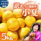 R8.1月 規格外だけど規格外じゃない!? 訳あり 小夏 5kg(日向夏)柑橘【R01487】