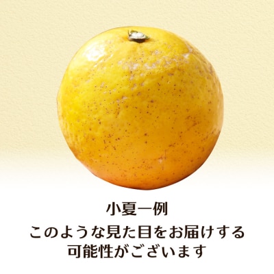 R9.4月 規格外だけど規格外じゃない!? 訳あり 小夏 10kg(日向夏)柑橘【R01496】