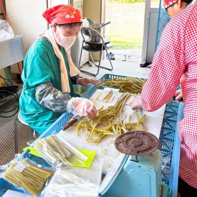 R8年5月以降山菜 ツワブキの水煮 400g×4パック(1.6kg)下処理済み 冷凍【R01450】