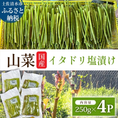 山菜 イタドリの塩漬け 250g×4パック(1kg)下処理済み 冷凍野菜【R01449】