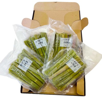 R8年4月山菜 イタドリの塩漬け 250g×4パック(1kg)下処理済み 冷凍野菜【R01449】