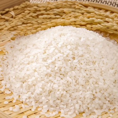 農家直送 令和8年産 コシヒカリ精米 5キロ 白米 高知県産【R01590】