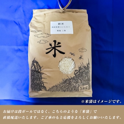 農家直送　令和7年産　コシヒカリ　精米　5キロ　白米  コシヒカリ 高知県産【R01508】