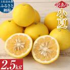 R8発送 先行予約【訳あり】オレンジ園の小夏2.5kg 日向夏 常温 国産 訳あり【R01499】