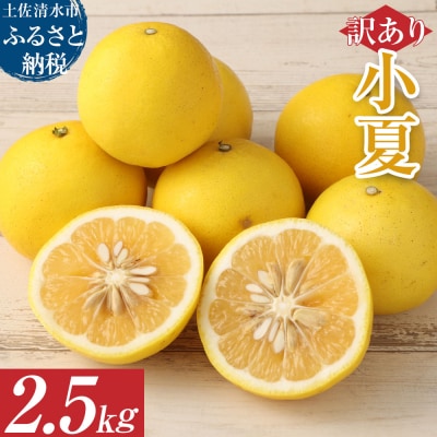 R8発送 先行予約【訳あり】オレンジ園の小夏2.5kg 日向夏 常温 国産 訳あり【R01499】