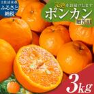 R8.1月下旬発送 ポンカン 3kg(デコポンの親品種)みかん ご贈答・ギフトOK【R01498】