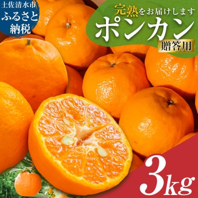 R8.1月下旬発送 ポンカン 3kg(デコポンの親品種)みかん ご贈答・ギフトOK【R01498】