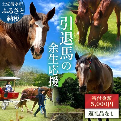引退馬 余生応援 一口 5,000円(1,500円分)返礼品なし 動物保護クラファン【R01529】