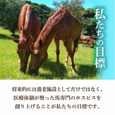 引退馬 余生応援 一口 10,000円(3,000円分)返礼品なし 動物 クラファン【R01530】