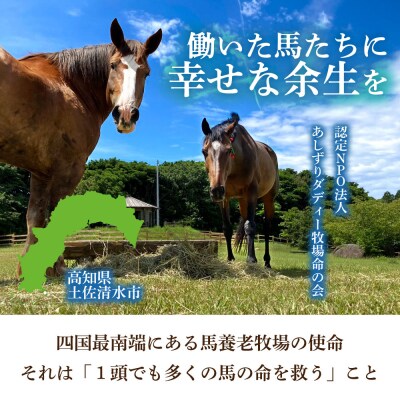 引退馬 余生応援 一口 50,000円(15,000円分)返礼品なし 動物クラファン【R01531】