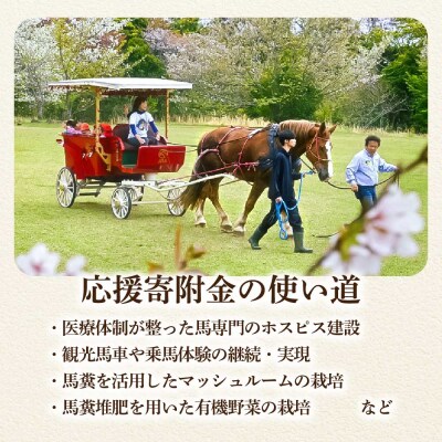 引退馬 余生応援 一口 50,000円(15,000円分)返礼品なし 動物クラファン【R01531】