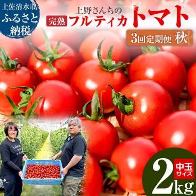 完熟フルティカトマト2kg(中玉サイズ)3回定期便 10月/11月/12月にお届け【J00224】