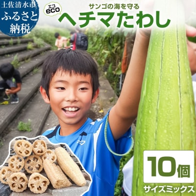 サンゴの海を守る エコ ヘチマたわし スポンジ サイズミックス 10個【R01564】