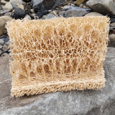 サンゴの海を守る エコ ヘチマたわし スポンジ サイズミックス 10個【R01564】