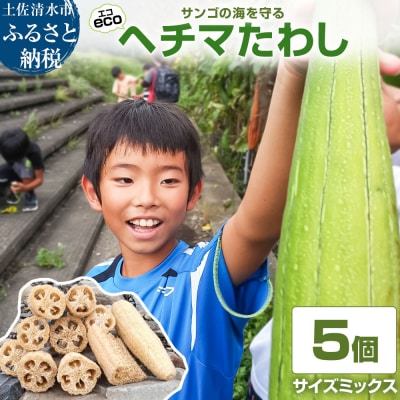 サンゴの海を守る エコ ヘチマたわし スポンジ サイズミックス 5個【R01563】