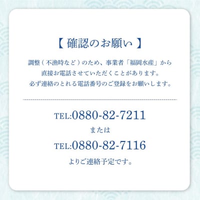 【11月発送】幻の天然セミエビ 約750g～850g(サイズおまかせ)※着日指定不可【R01676】