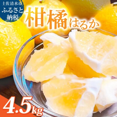 はるか 4.5キロ 栽培期間中農薬不使用 みかん 柑橘類【R01586】