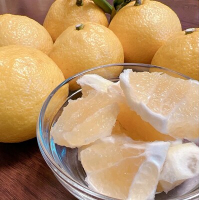 令和8年1月発送 はるか 4.5キロ 栽培期間中農薬不使用【R01586】