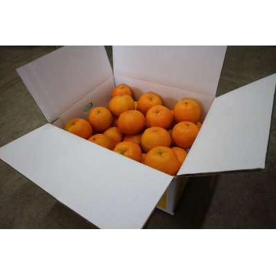 R8年発送 <訳あり>早川農園のぽんかん(5kg)【R01380】