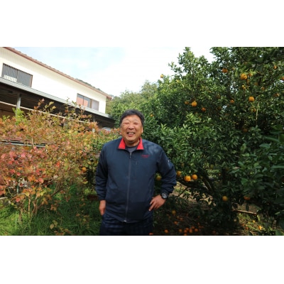 <訳あり>早川農園のぽんかん(5kg)【R01380】