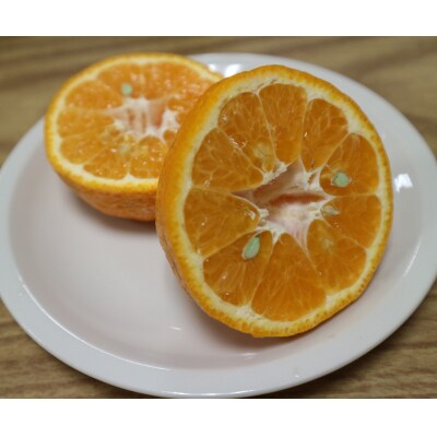 R8年発送<訳あり>早川農園のぽんかん(10kg)家庭用 ご自宅用【R01381】