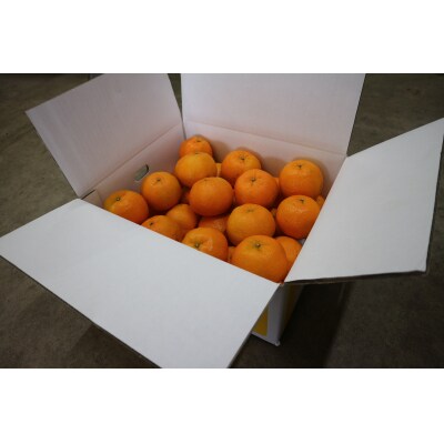 <訳あり>早川農園のぽんかん(10kg)家庭用 ご自宅用【R01381】