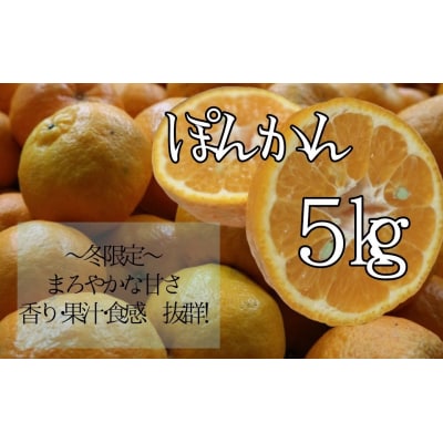  早川農園のぽんかん(5kg)ポンカン 柑橘【R00213】