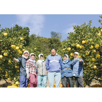  早川農園のぽんかん(5kg)ポンカン 柑橘【R00213】