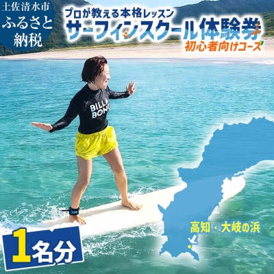 高知・大岐の浜 サーフィン スクール 体験券 1名分(初心者向けコース)【R01593】