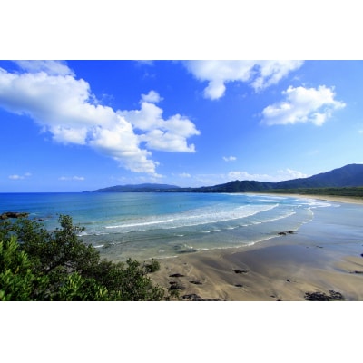 高知・大岐の浜 サーフィン スクール 体験券 1名分(初心者向けコース)【R01593】